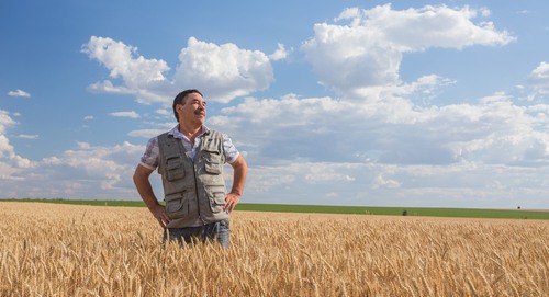 Частные фермеры